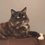 Mindy Simpson-Hauser - @mhauser0914 - Instagram