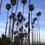 Mindy Spencer - @spencertriplet3 - Instagram