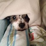 Mindy Spencer - @mindy.spencer.319 - Instagram
