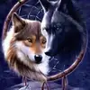 mindysutton768 - @mindysutton768 - TikTok