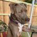 Mindy Sylvester Moore - Facebook