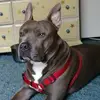 Mindy Sue Templeton - @mindysuetempleton - TikTok
