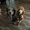 mindytemple72 - @mindy7226 - TikTok