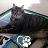 Mindy L Tilley - @mindyltilley - TikTok