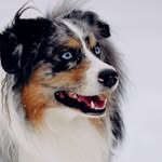 Mindy - @mindy_tomlinson - Instagram