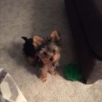 Mindy - @mindy_troy23 - Instagram