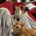 Mindy Stidham Vickers - Facebook