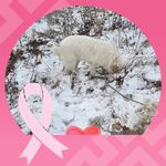 Mindy Walden - @myadoan1 - Instagram