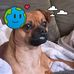 Mindy Webb - Facebook