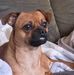 Mindy Webb - Facebook