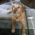 Mindy Webb - Facebook