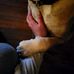 Mindy Weiss - Facebook
