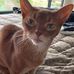 Mindy Weiss - Facebook