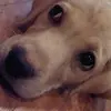 Mandy Weller - @mandyweller - TikTok
