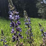 Mindy West - @mindywest547 - Instagram