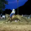 blessedbarrelracer - @mindywheatleyalley - TikTok