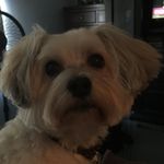 Mindy Wheeler - @mindyswheeler - Instagram