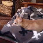 Mindy Wilkinson - Facebook