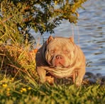 Mindy Willard - Facebook
