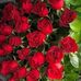 Minerva Andres - Facebook