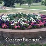 Minerva Arcega - @minervaarcega - Instagram