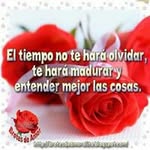 Minerva Aviles - @mineav18 - Instagram