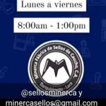 minerva.bravo - @minerva.bravo6 - Instagram