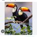 Minerva Calderon - Facebook