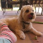 minerva castro - @marshmellow.mini - Instagram