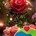 Minerva Castro - Facebook