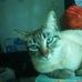 Minerva Cazares - Facebook