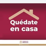 Minerva Galan Quinta - @minervagalanquinta - Instagram