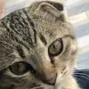 Minerva Glass - @2930chuaphailatet - TikTok