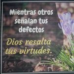 Minerva Leyla Meneses Infante - @minervaleylameneses - Instagram