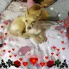 Minerva_lara69 - @minerva_lara69 - TikTok