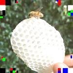 Honey Love Bee Removal - @minervalawrencematzan - Instagram