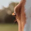 Minerva Madrigal - @premilimagui - TikTok