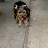 Minerva Navarro - @mini_1019 - TikTok