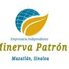 Minerva Patrón - @minervapatronhi - TikTok