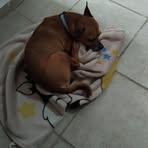 Minerva Perea - Facebook
