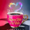 Minerva rivas - @user823391175600 - TikTok