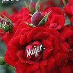 Minerva Roman - @minerva.roman.773124 - Instagram