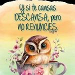 Minerva Roman - @minervaroman2 - Instagram
