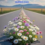 Minerva Saenz - Facebook