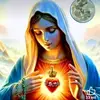Minerva Salinas - @minerva.salinas82 - TikTok