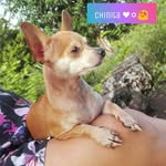 Minerva Regina Saucedo Chan - @minervareginasaucedo - Instagram