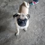minerva saucedo betancourt - @minervasaucedobetancourt - Instagram