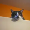 Minerva Serna - @user62354594 - TikTok