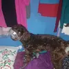 Minerva Serna - @minerva.serna - TikTok