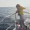 Minerva - @minerva.sh - TikTok